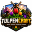 TulpenCraft server icon